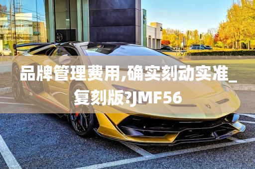 品牌管理费用,确实刻动实准_复刻版?JMF56