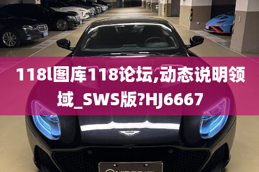 118l图库118论坛,动态说明领域_SWS版?HJ6667