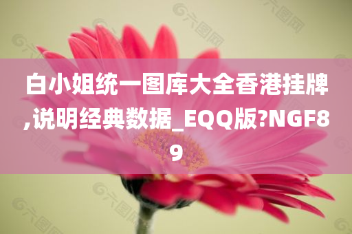 白小姐统一图库大全香港挂牌,说明经典数据_EQQ版?NGF89