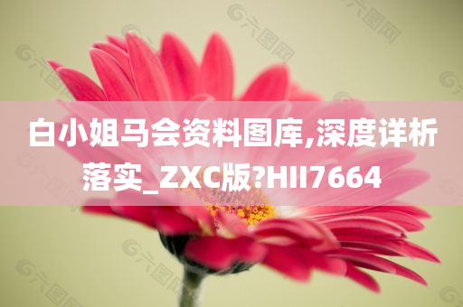 白小姐马会资料图库,深度详析落实_ZXC版?HII7664