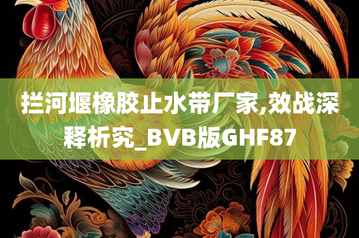 拦河堰橡胶止水带厂家,效战深释析究_BVB版GHF87