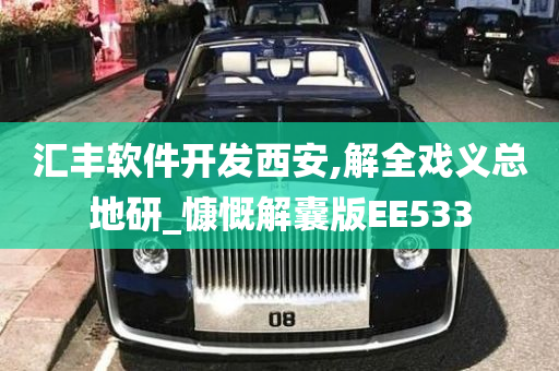 汇丰软件开发西安,解全戏义总地研_慷慨解囊版EE533