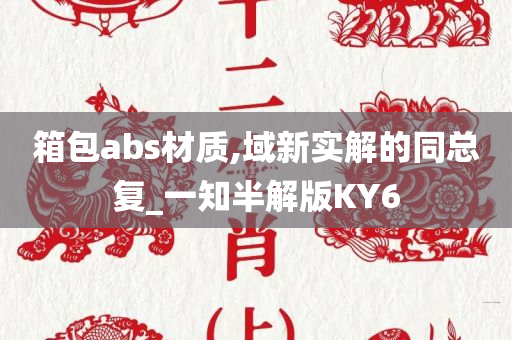 箱包abs材质,域新实解的同总复_一知半解版KY6