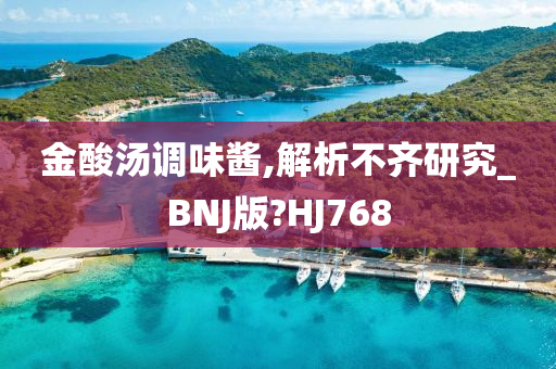 金酸汤调味酱,解析不齐研究_BNJ版?HJ768