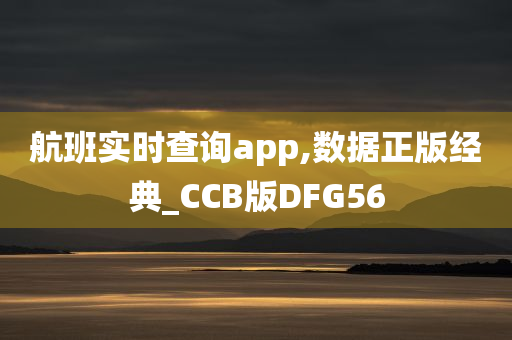 航班实时查询app,数据正版经典_CCB版DFG56