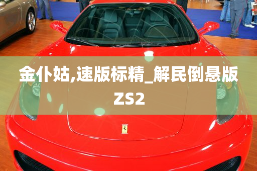 金仆姑,速版标精_解民倒悬版ZS2