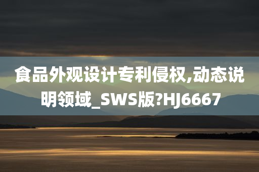 食品外观设计专利侵权,动态说明领域_SWS版?HJ6667