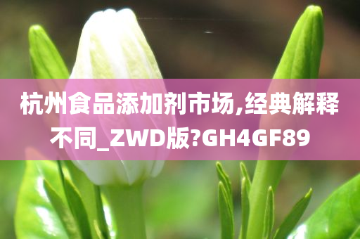 杭州食品添加剂市场,经典解释不同_ZWD版?GH4GF89