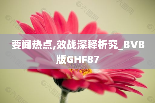 要闻热点,效战深释析究_BVB版GHF87