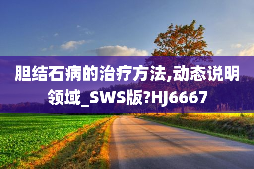 胆结石病的治疗方法,动态说明领域_SWS版?HJ6667