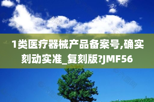 1类医疗器械产品备案号,确实刻动实准_复刻版?JMF56