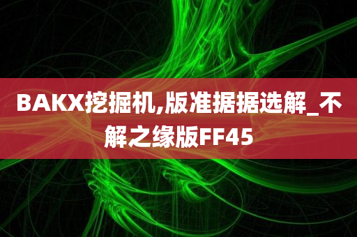 BAKX挖掘机,版准据据选解_不解之缘版FF45