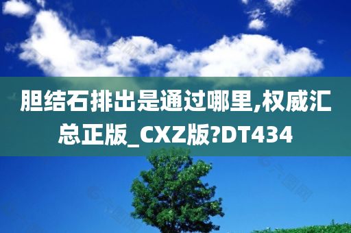 胆结石排出是通过哪里,权威汇总正版_CXZ版?DT434