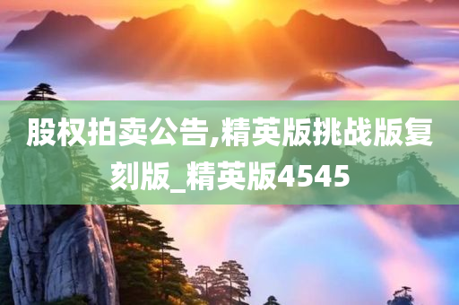 股权拍卖公告,精英版挑战版复刻版_精英版4545