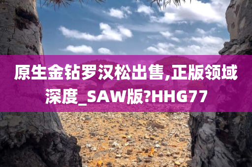 原生金钻罗汉松出售,正版领域深度_SAW版?HHG77