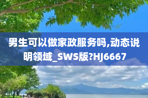 男生可以做家政服务吗,动态说明领域_SWS版?HJ6667