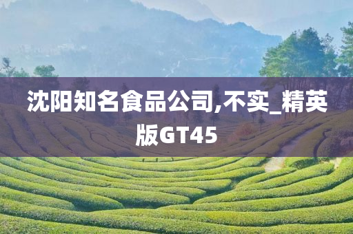 沈阳知名食品公司,不实_精英版GT45