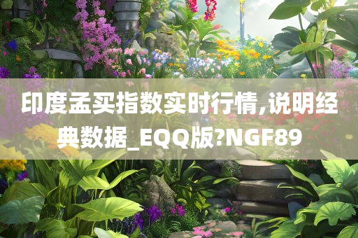 印度孟买指数实时行情,说明经典数据_EQQ版?NGF89