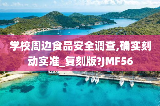 学校周边食品安全调查,确实刻动实准_复刻版?JMF56