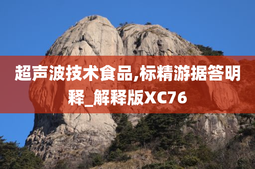 超声波技术食品,标精游据答明释_解释版XC76