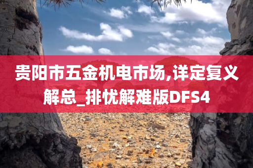 贵阳市五金机电市场,详定复义解总_排忧解难版DFS4