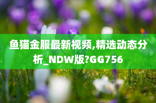 鱼猫金服最新视频,精选动态分析_NDW版?GG756