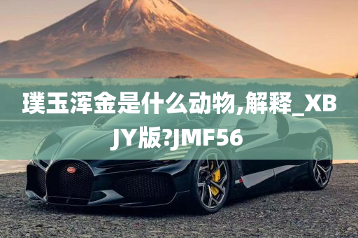 璞玉浑金是什么动物,解释_XBJY版?JMF56