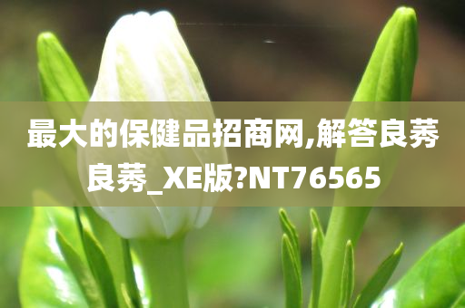 最大的保健品招商网,解答良莠良莠_XE版?NT76565