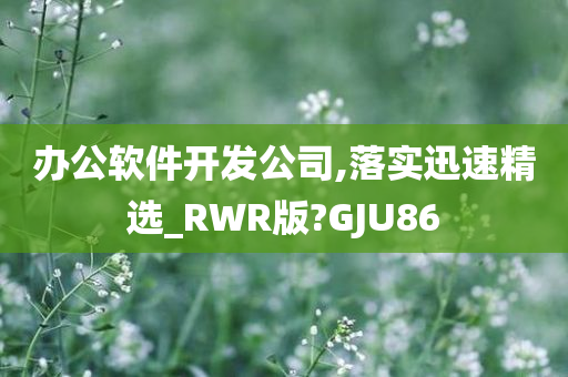 办公软件开发公司,落实迅速精选_RWR版?GJU86