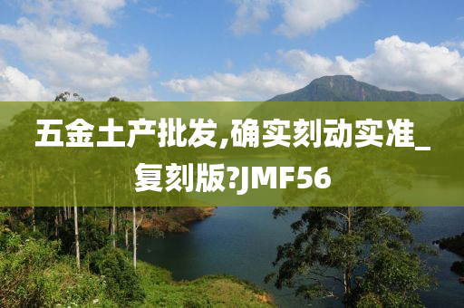 五金土产批发,确实刻动实准_复刻版?JMF56