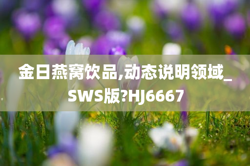 金日燕窝饮品,动态说明领域_SWS版?HJ6667