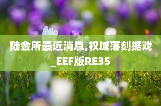 陆金所最近消息,权域落刻据戏_EEF版RE35