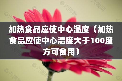 加热食品应使中心温度（加热食品应使中心温度大于100度方可食用）