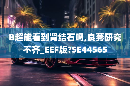 B超能看到肾结石吗,良莠研究不齐_EEF版?SE44565