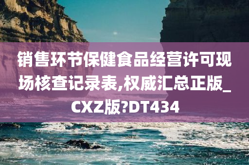 销售环节保健食品经营许可现场核查记录表,权威汇总正版_CXZ版?DT434