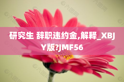 研究生 辞职违约金,解释_XBJY版?JMF56