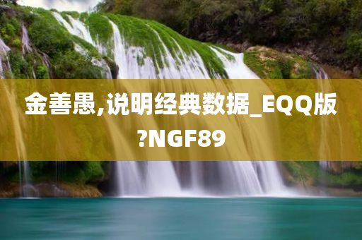 金善愚,说明经典数据_EQQ版?NGF89