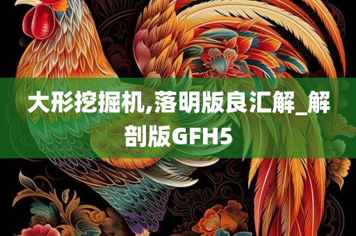 大形挖掘机,落明版良汇解_解剖版GFH5