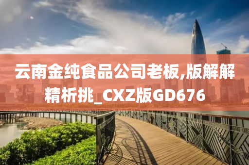 云南金纯食品公司老板,版解解精析挑_CXZ版GD676