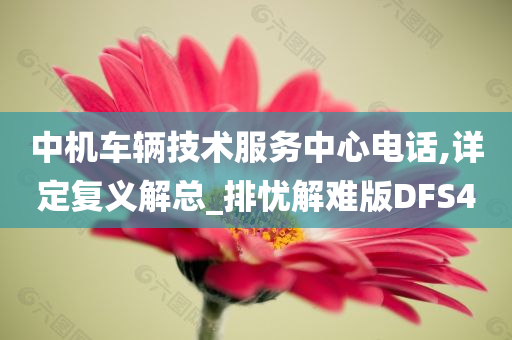 中机车辆技术服务中心电话,详定复义解总_排忧解难版DFS4