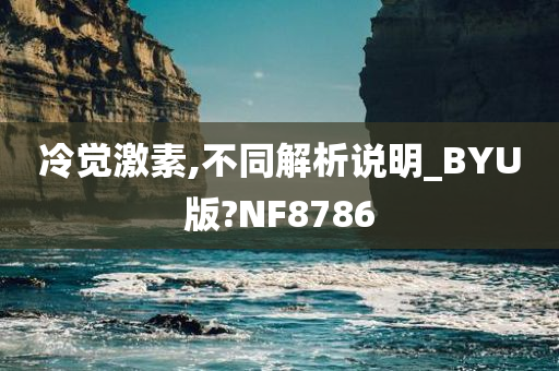 冷觉激素,不同解析说明_BYU版?NF8786