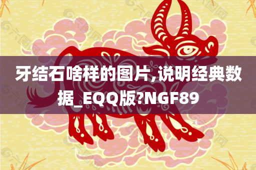 牙结石啥样的图片,说明经典数据_EQQ版?NGF89