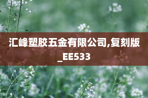 汇峰塑胶五金有限公司,复刻版_EE533