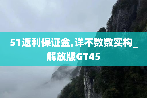 51返利保证金,详不数数实构_解放版GT45