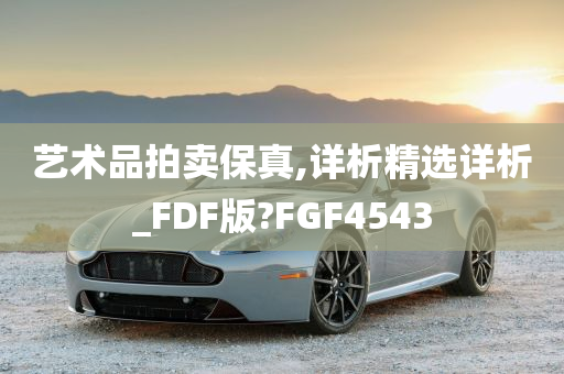 艺术品拍卖保真,详析精选详析_FDF版?FGF4543