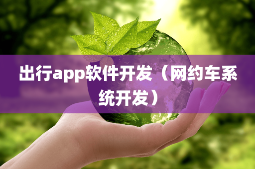 出行app软件开发（网约车系统开发）