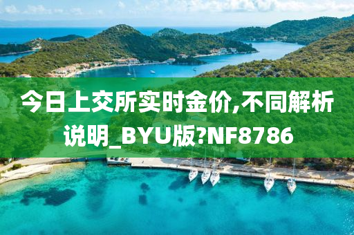 今日上交所实时金价,不同解析说明_BYU版?NF8786