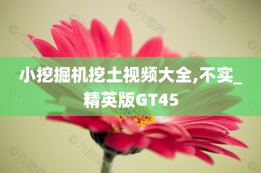 小挖掘机挖土视频大全,不实_精英版GT45