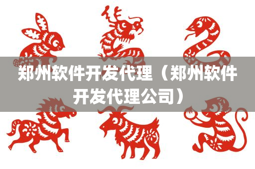 郑州软件开发代理（郑州软件开发代理公司）