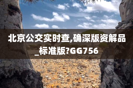 北京公交实时查,确深版资解品_标准版?GG756